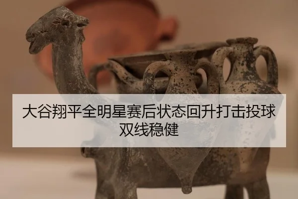 da-gu-xiang-ping-quan-ming-xing-sai-hou-zhuang-tai-hui-sheng-da-ji-tou-qiu-shuang-xian-wen-jian-2-772.jpg