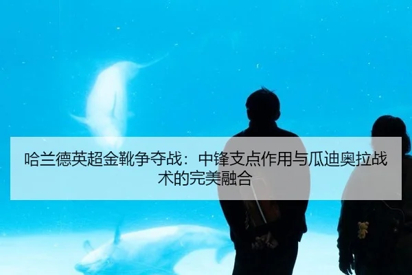 ha-lan-de-ying-chao-jin-xue-zheng-duo-zhan-zhong-feng-zhi-dian-zuo-yong-yu-gua-di-ao-la-zhan-shu-de-wan-mei-rong-he-2-783.jpg