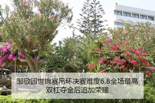 zou-jing-yuan-shi-jin-sai-diao-huan-jue-sai-nan-du-quan-chang-zui-gao-shuang-gang-duo-jin-hou-zhui-jia-rong-yao-2-299.jpg