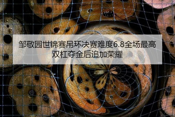 邹敬园世锦赛吊环决赛难度6.8全场最高双杠夺金后追加荣耀
