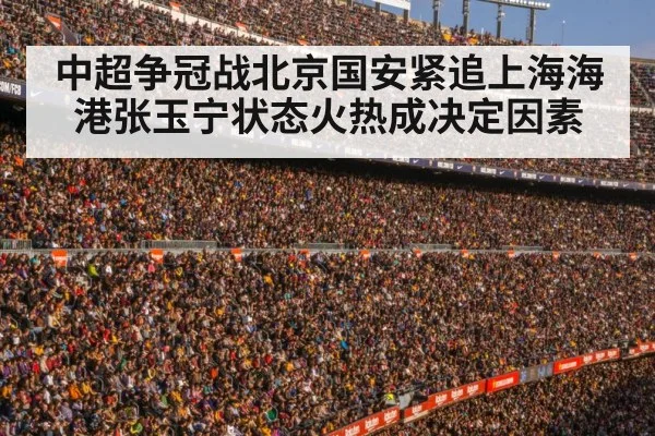 football stadium crowd