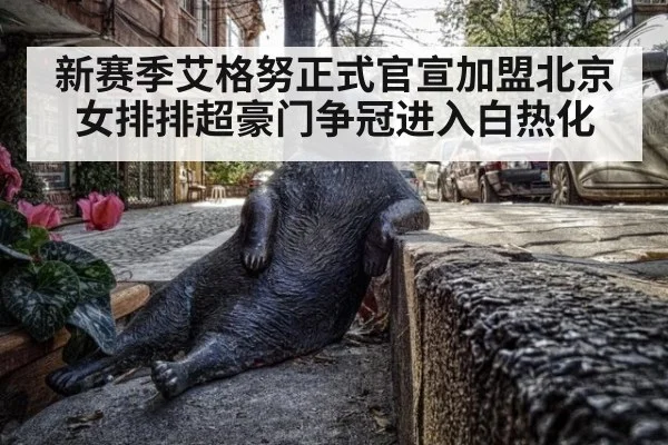 新赛季艾格努正式官宣加盟北京女排排超豪门争冠进入白热化